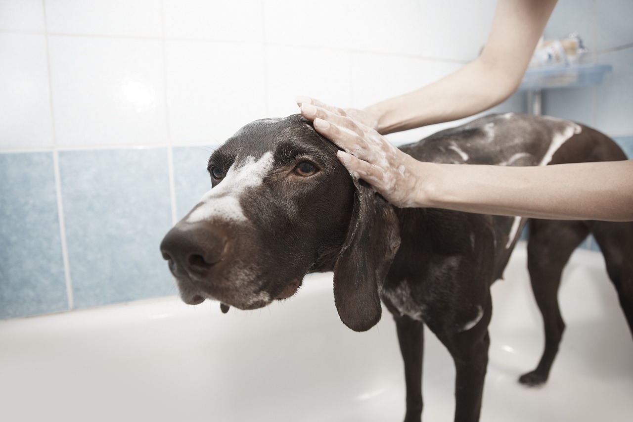 Bath and Brush